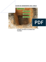 IDENTIFICACION DE HORIZONTES DEL SUELO.docx