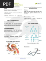 Aula CRB - Fisiologia Do Sistema Reprodutor