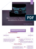 4.Transporte a través de la membrana.pdf
