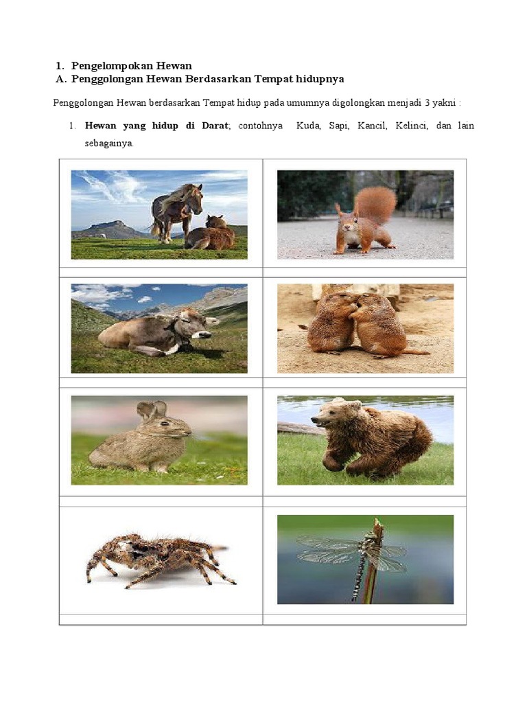 6600 Koleksi Gambar Hewan Berdasarkan Tempat Hidupnya Gratis Terbaik