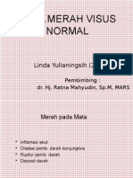 Mata Merah Visus Normal