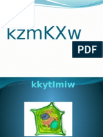 KZMKXW