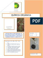 Trabajo Productivo Tinte Natural Informe