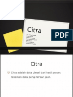 Citra Satelit