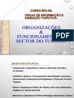 Organizaçoes e Funcionamento Do Sector Do Turismo