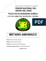 Informe Metano Amoniaco Cabezas
