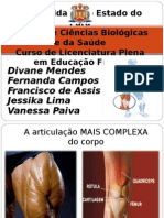 A articulação mais complexa do corpo: o joelho