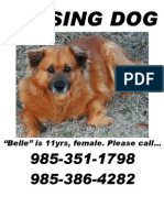 Missing Dog