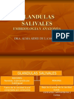 GLANDULAS SALIVALES1