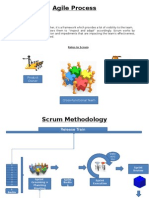 Agile Process: Product Owner Scrum Master