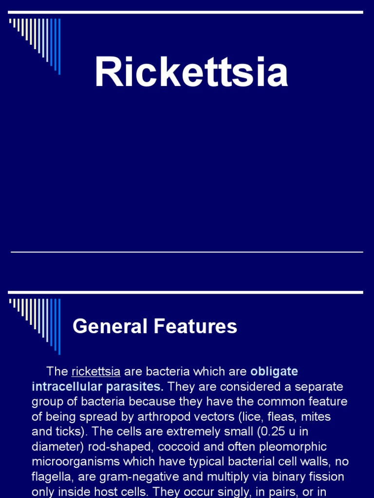 Rickettsia: Intracellular Bacterial Pathogens | PDF | Bacteria ...