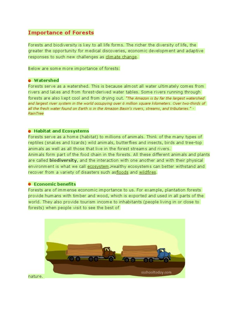 Importance Of Forests Pdf Forests Deforestation