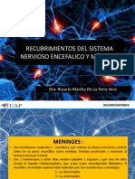 RECUBRIMIENTOS DEL SISTEMA NERVIOSO ENCEFALICO Y MEDULAR.pdf