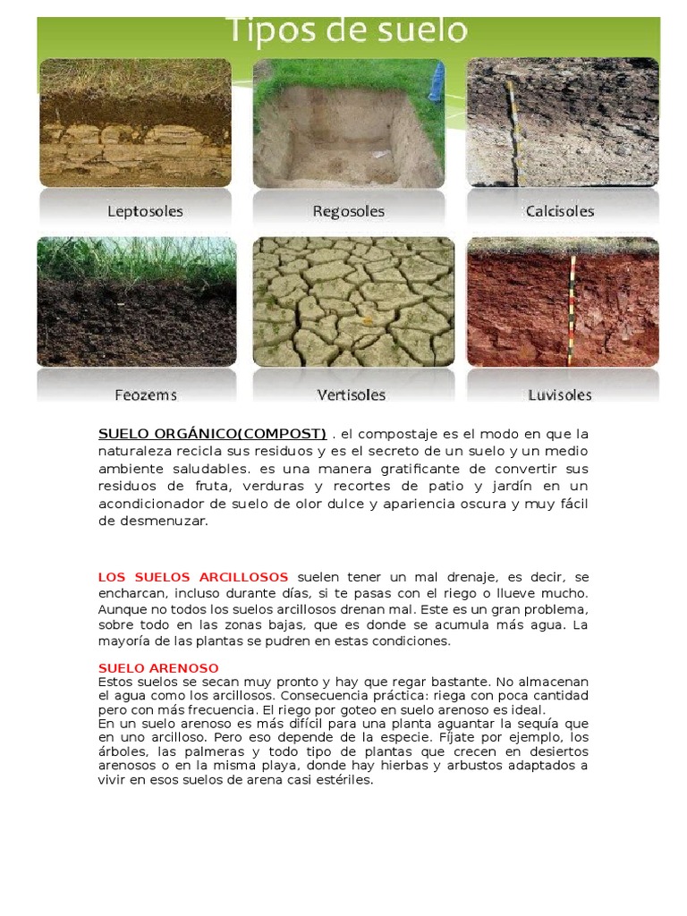 Suelo Orgánico Soil Compost