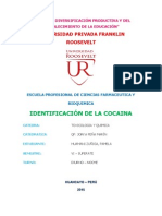 La Cocaina PDF