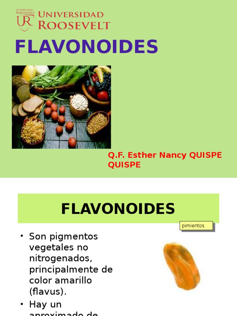 FLAVONOIDES FITOQUIMICA.pptx Flavonoide Alimentos