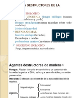 AGENTES DESTRUCTORES DE LA MADERA.ppt
