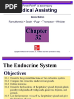 Endocrine System