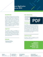Business Intelligence Application Developer SQL Server 2012