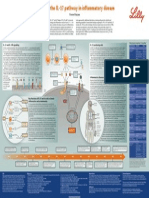 Targeting The IL-17 Pathway in Inflammatory Disease: Pierre Miossec