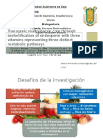 Biofortificación Del Maíz