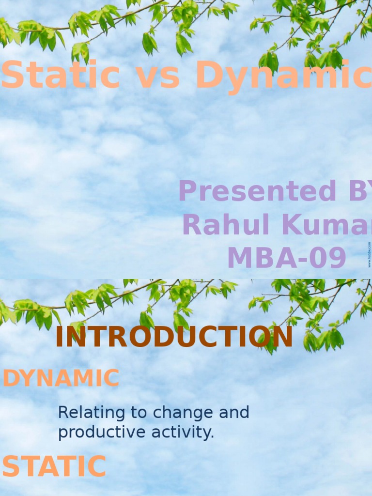 Static vs Dynamic Characters Explained | PDF