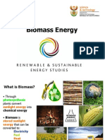 Biomass Energy PPT 13