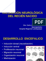 Valoración Neurológica Del Recién Nacido 