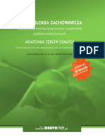 Stomatologia Zachowawcza. Anatomia Zębów Stałych