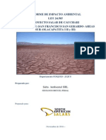 Actualización IIA Salar Cauchari Enero 2015