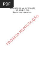 Seg Oper Caldeiras Cad Doc2009