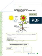 Guia 6b - Fotosintesis