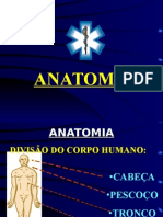 Anatomia