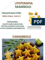 Frutoterapia (Carambolo).pdf