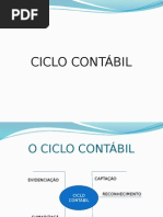 CICLO CONTABIL - PATRIMONIO