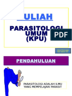 Kpu