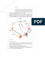 Resumo -Rochas Sedimentares e Tempo Geológico