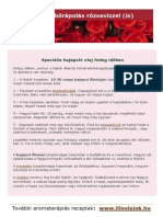 Rozsavizesreceptek PDF