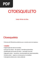 Aula 5 - Citoesqueleto