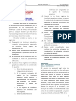 Pruebas y Procedimientos de Auditoria 