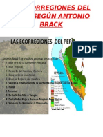 11 Ecorregiones Del Perú Según Antonio Brack (1)