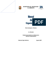 Manual de Organizacion S.P.A