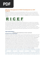 Effective Management of RICEF Development on SAP Projects