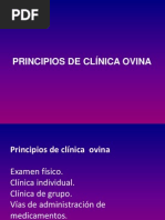 Principios de Clinica Ovina