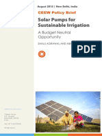 CEEW - Solar Pumps Brief 22aug15