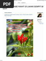 Download Budidaya Cabe Rawit Di Lahan Sempit Bisa Jadi Duit by Heru Pramudya SN282472845 doc pdf