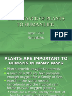 Importance of Plants To Human Life