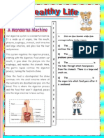 the digestive system.pdf