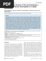 High Resolution Structure of the Ba3 Cytochrome c