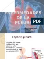 Enfermedades de la pleura: causas, síntomas y tratamiento